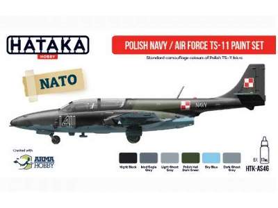 Polish Navy/Air Force TS-11 paint set - zdjęcie 4