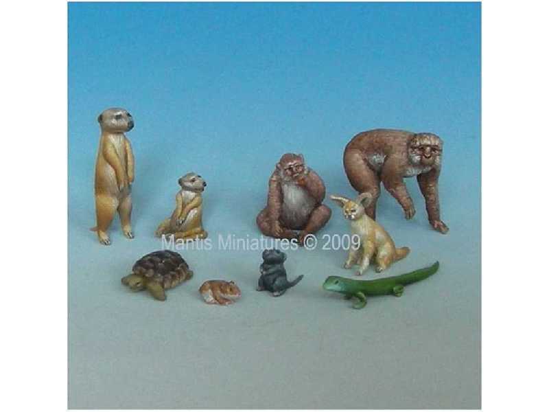 Animals - Set 1 (mediterranean and african) - zdjęcie 1 Animals - Set 1 (mediterranean and african) - zdjęcie 1