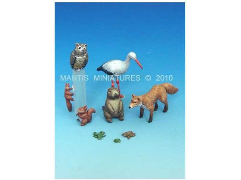 Animals - Set 2 - zdjęcie 1 Animals - Set 2 - zdjęcie 1