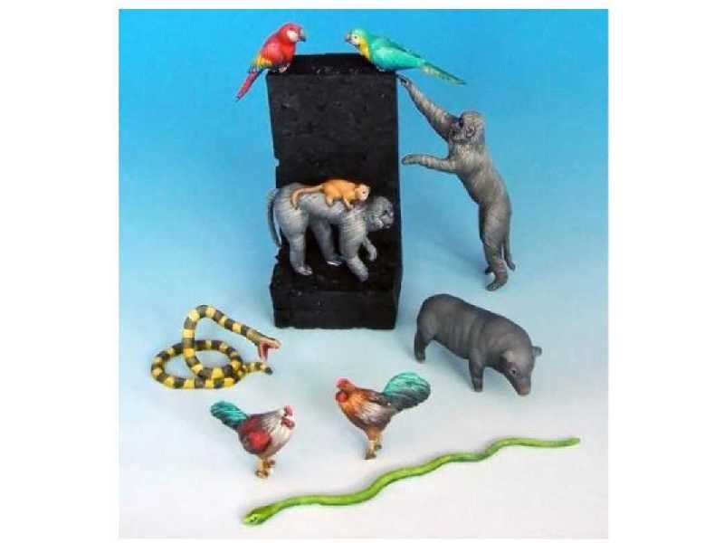 Animals Set 4 (Asian) - zdjęcie 1 Animals Set 4 (Asian) - zdjęcie 1