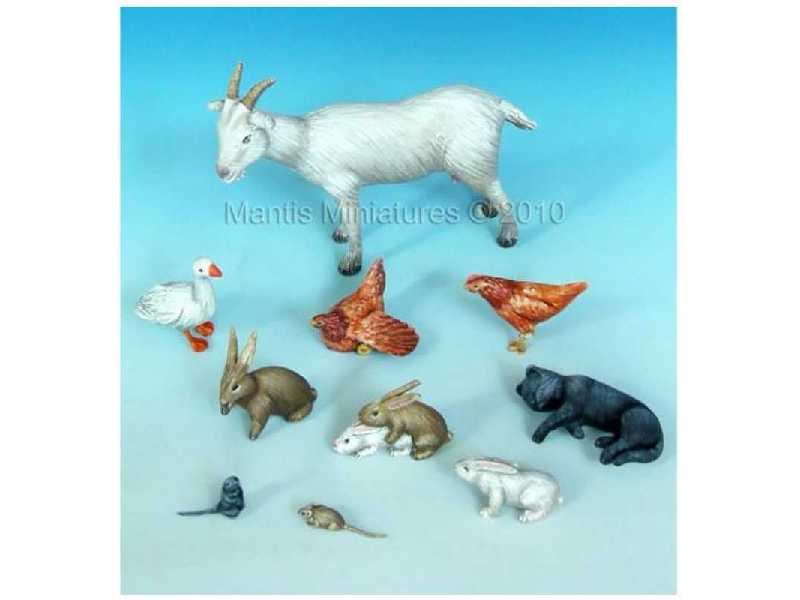 Animals - Set 6 (country) - zdjęcie 1 Animals - Set 6 (country) - zdjęcie 1