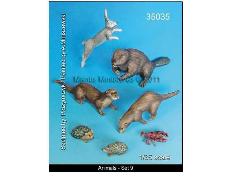 Animal Set 9 - zdjęcie 1 Animal Set 9 - zdjęcie 1
