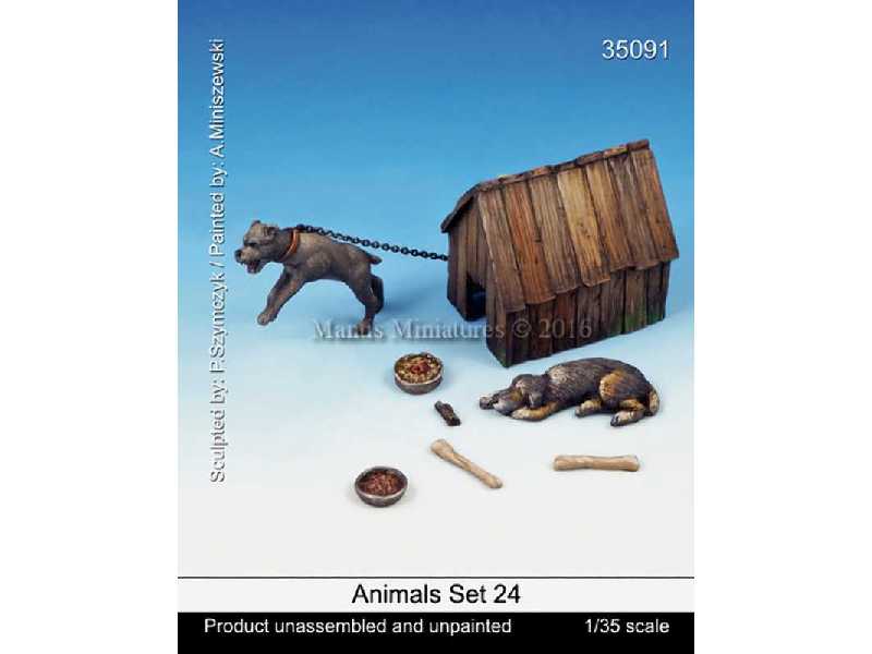 Animals Set 24 - zdjęcie 1