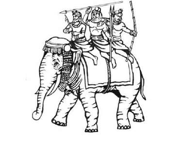 Słonie indyjskie - zdjęcie 3