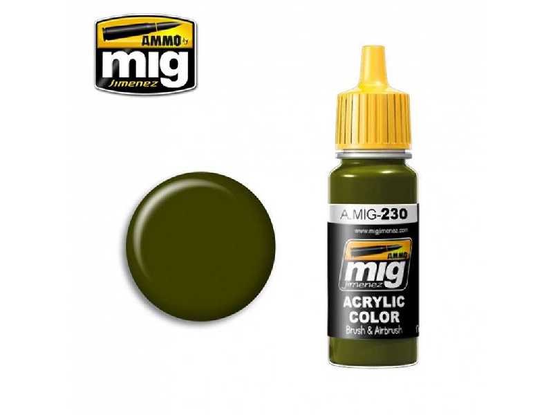 Rlm 82 Camo Green - zdjęcie 1 Rlm 82 Camo Green - zdjęcie 1