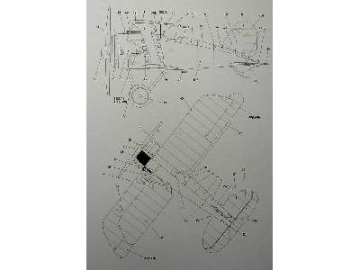 Albatros D.XI - zdjęcie 8