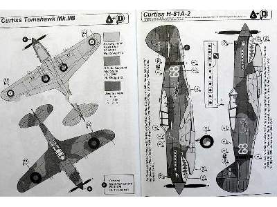 Curtiss Hawk 81A (early P-40) - zdjęcie 10