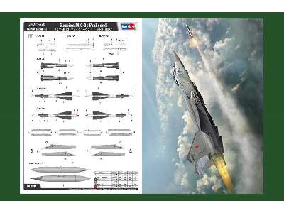 Russian MiG-31 Foxhound - zdjęcie 5