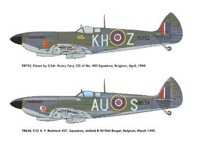 Spitfire Mk.XVI  -  DUAL COMBO - zdjęcie 5