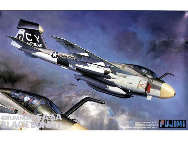Grumman AE-6A Black Bunny - zdjęcie 1 Grumman AE-6A Black Bunny - zdjęcie 1