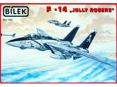 Grumman F-14 "Jolly Rogers" - zdjęcie 1
