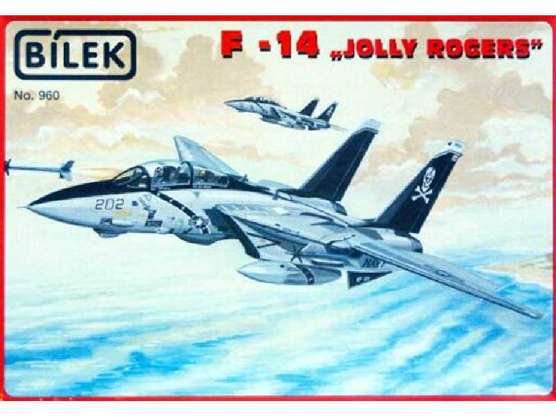 Grumman F-14 "Jolly Rogers" - zdjęcie 1 Grumman F-14 "Jolly Rogers" - zdjęcie 1