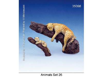 Animals Set 26 - zdjęcie 1