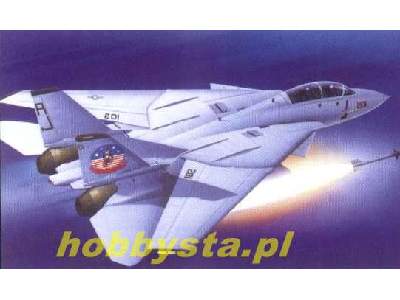 Grumman F-14A Tomcat - zdjęcie 1