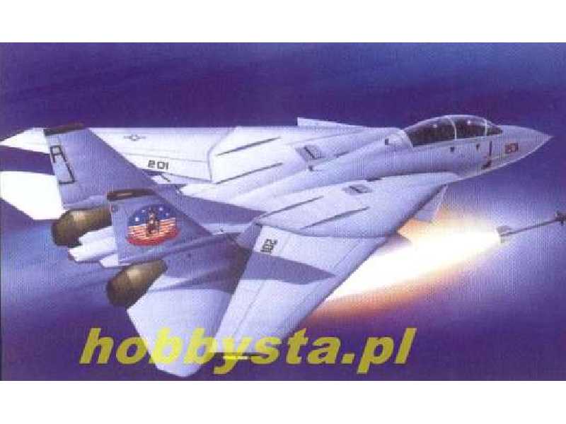 Grumman F-14A Tomcat - zdjęcie 1 Grumman F-14A Tomcat - zdjęcie 1