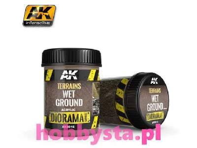 Terrains Wet Ground 250ml - zdjęcie 1