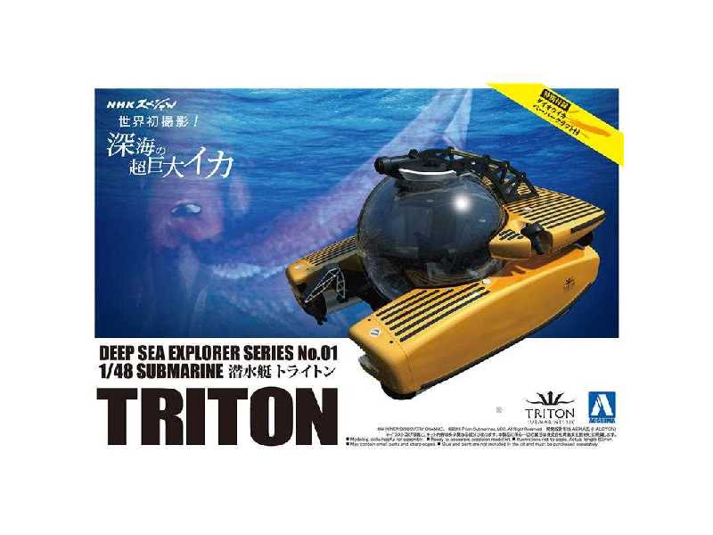 Deep Sea Triton Submarine 3300/3 - zdjęcie 1 Deep Sea Triton Submarine 3300/3 - zdjęcie 1