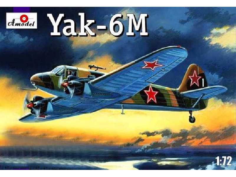 Jak 6M w kamuflażu - zdjęcie 1 Jak 6M w kamuflażu - zdjęcie 1