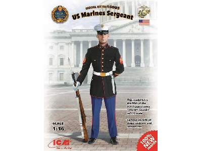 US Marine sierżant - zdjęcie 11