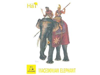 Słonie macedońskie  - zdjęcie 1