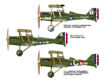 SE.5a - Royal Class Edition Dual Combo  - zdjęcie 5