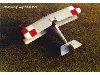 Nieuport 24 - zdjęcie 3