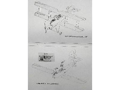 Albatros JII - zdjęcie 8