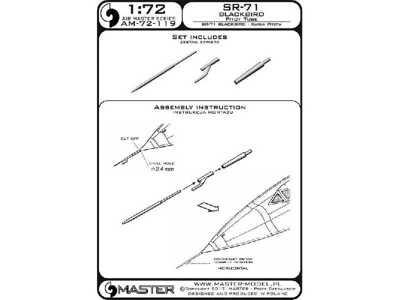 SR-71 Blackbird - Rurka Pitota - zdjęcie 1