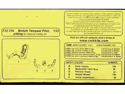 British Tempest Pilot, sitting - zdjęcie 4