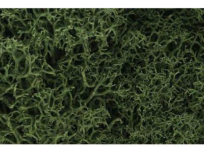Zarośla - Medium Green Lichen (Bag - zdjęcie 1