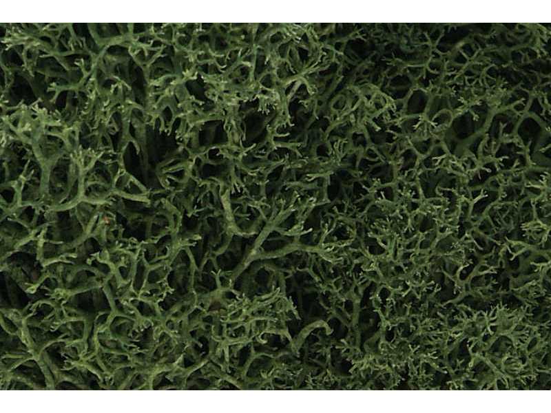 Zarośla - Medium Green Lichen (Bag - zdjęcie 1 Zarośla - Medium Green Lichen (Bag - zdjęcie 1