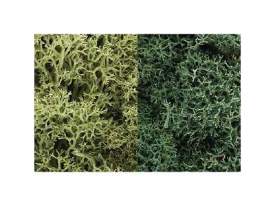 Zarośla - Light Green Mix Lichen (1 - zdjęcie 1