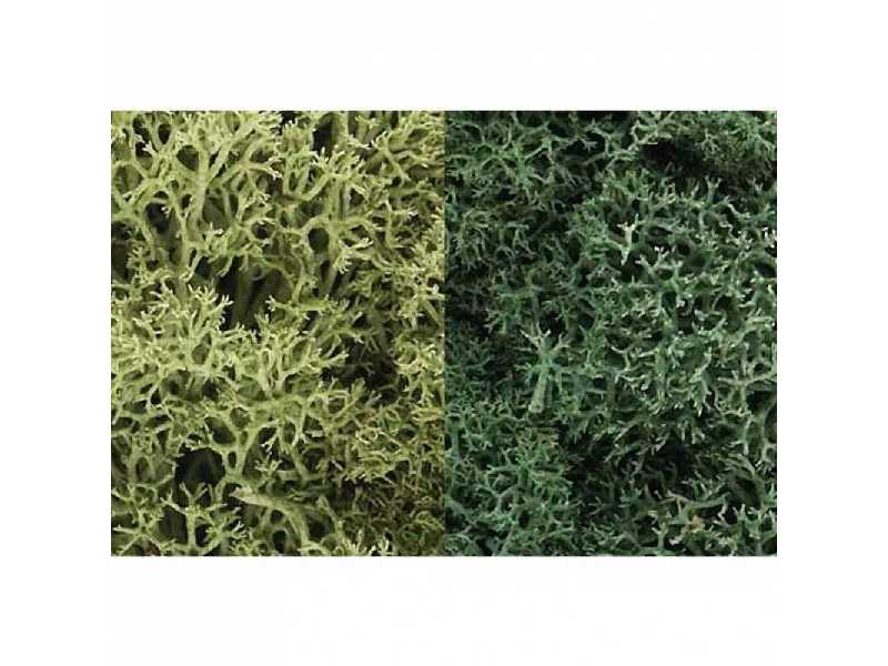 Zarośla - Light Green Mix Lichen (1 - zdjęcie 1 Zarośla - Light Green Mix Lichen (1 - zdjęcie 1