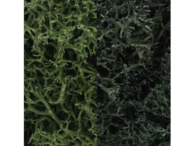 Zarośla - Dark Green Mix Lichen (1. - zdjęcie 1