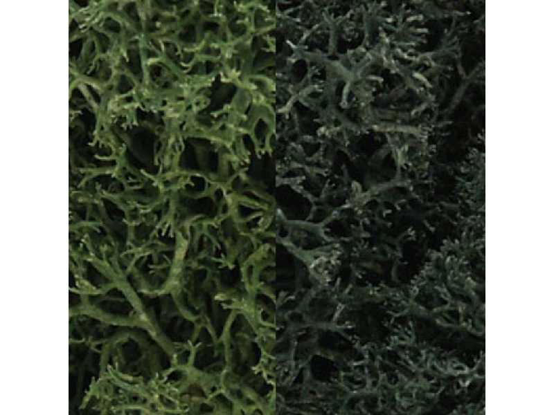 Zarośla - Dark Green Mix Lichen (1. - zdjęcie 1 Zarośla - Dark Green Mix Lichen (1. - zdjęcie 1