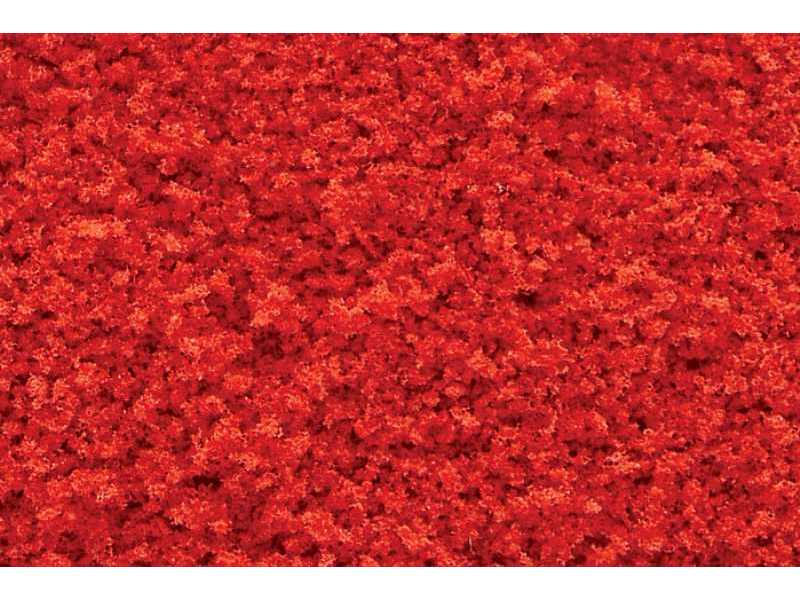 Darń - Tr Red Fall Coarse Turf - zdjęcie 1 Darń - Tr Red Fall Coarse Turf - zdjęcie 1