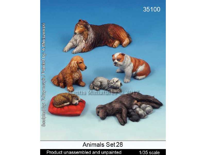 Animals Set 28 - zdjęcie 1 Animals Set 28 - zdjęcie 1