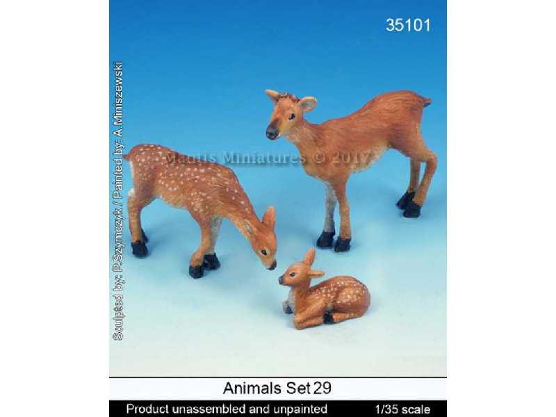 Animals Set 29 - zdjęcie 1