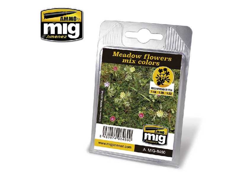 Meadow Flowers Mix Colors - zdjęcie 1 Meadow Flowers Mix Colors - zdjęcie 1
