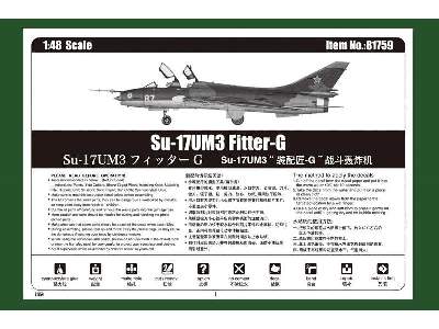 Su-17UM3 Fitter-G  - zdjęcie 6