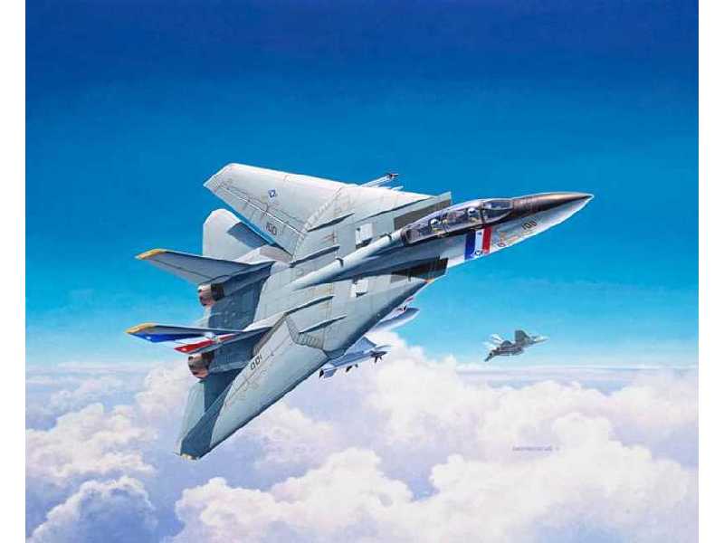 F-14D Super Tomcat - zdjęcie 1 F-14D Super Tomcat - zdjęcie 1