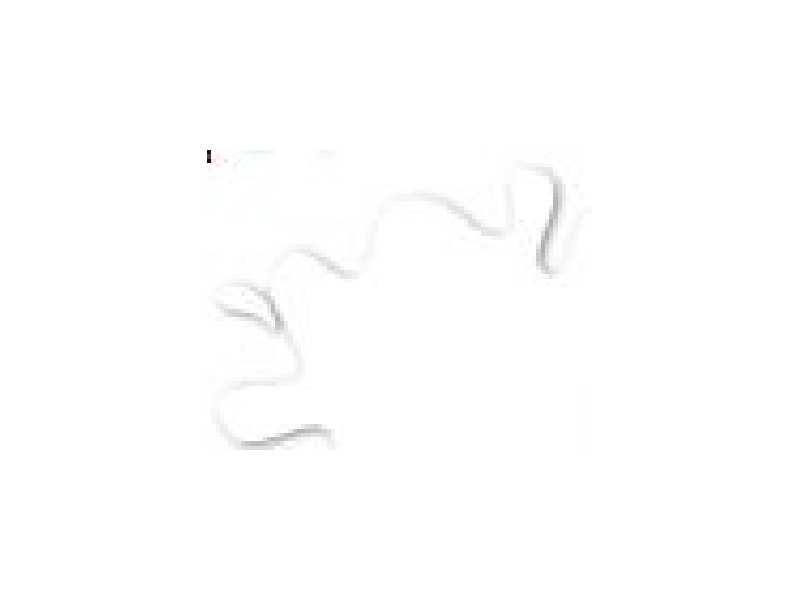 H020 Flat Clear - F - matowa - Hobby Color - zdjęcie 1 H020 Flat Clear - F - matowa - Hobby Color - zdjęcie 1