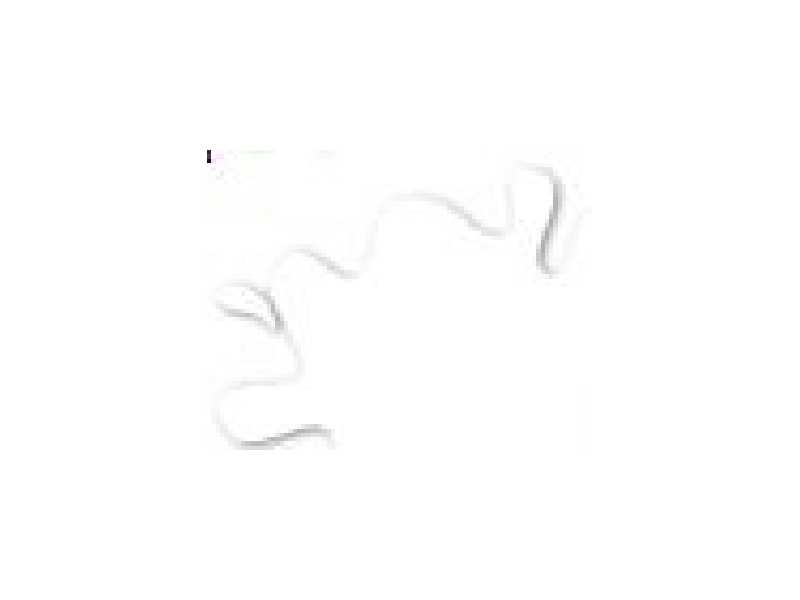 H030 Gloss Clear - G - połysk - Hobby Color - zdjęcie 1 H030 Gloss Clear - G - połysk - Hobby Color - zdjęcie 1