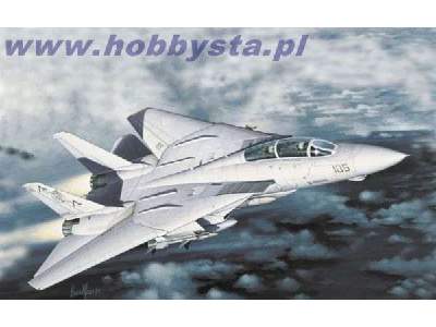 F-14A Tomcat Plus - zdjęcie 1