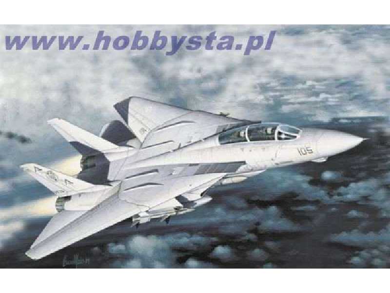 F-14A Tomcat Plus - zdjęcie 1 F-14A Tomcat Plus - zdjęcie 1