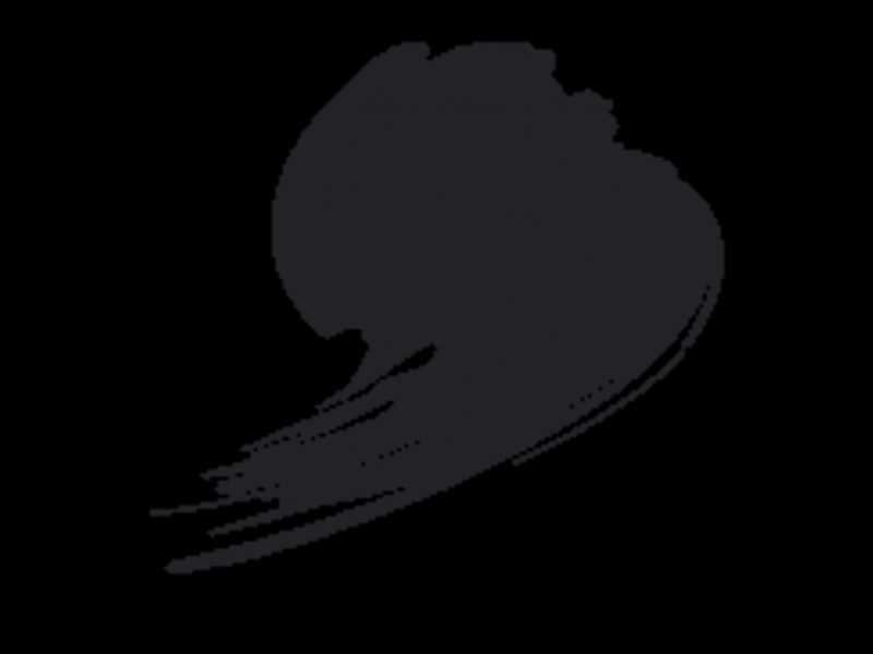 B040 Black-gray (RLM66) - zdjęcie 1 B040 Black-gray (RLM66) - zdjęcie 1