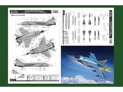 MiG-31M Foxhound  - zdjęcie 4