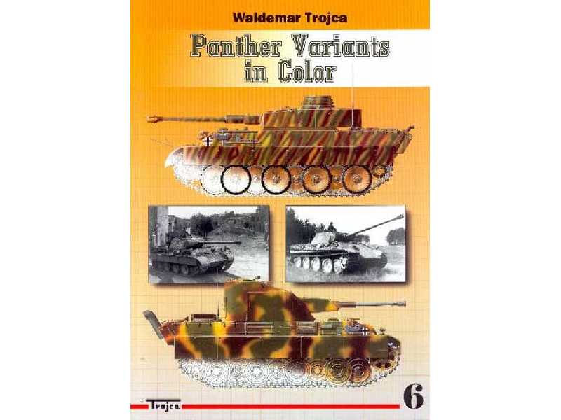 Panther Variants In Color Nr 6 - Waldemar Trojca - zdjęcie 1 Panther Variants In Color Nr 6 - Waldemar Trojca - zdjęcie 1