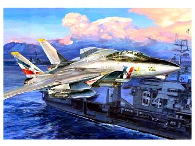 Grumman F-14D Super Tomcat - zdjęcie 1