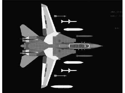 Grumman F-14D Super Tomcat - zdjęcie 2